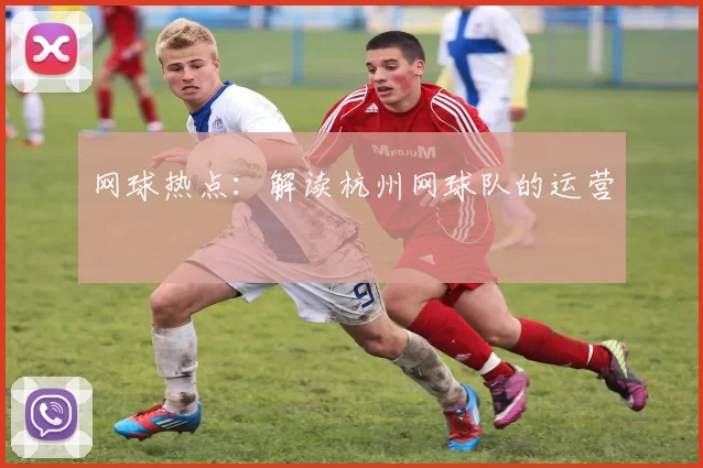 网球热点：解读杭州网球队的运营