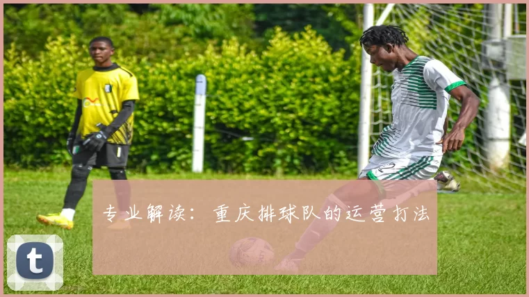 专业解读：重庆排球队的运营打法