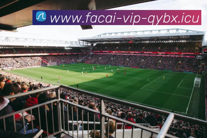 乐鱼体育注册品牌故事